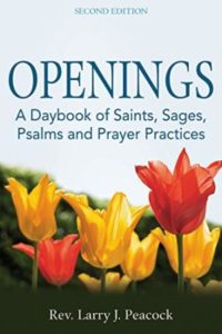 Cover image for Openings: A Daybook