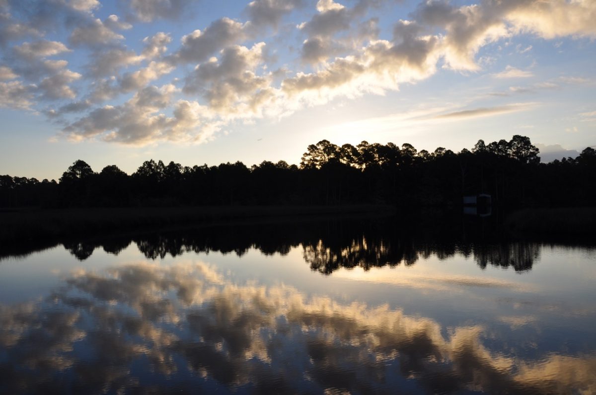 Predawn sky on a clear morning with white clouds. The silhouette of a forested shore over a glassy lake reflects the brightening sky.